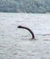 Foto scattata da Roy Johnston in 21 Agosto 2002. Dovrebbe mostrare il Mostro di Loch Ness