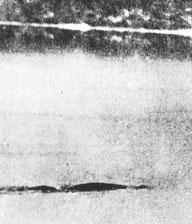 Foto di Nessie scattata nel 1955 da MacNab; a destra il castello di Urquarth