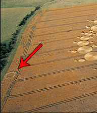 Vicino alla formazione di Milk Hill si nota anche un piccolo cerchio che per un pò è passato inosservato.